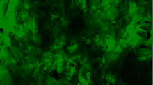 jaipicom_abstract.png GrayscaleGreen