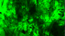 jaipicom_abstract.png SwapRGBGreen