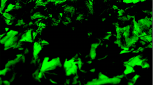 jaipicom_alpha-source.png InvertRGBGreen