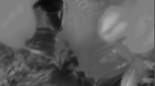 jaipicom_element.png Grayscale