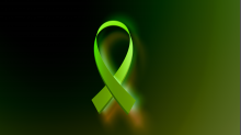 jaipicom_solidarity-ribbon.png InvertBGR