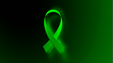 jaipicom_solidarity-ribbon.png InvertBGRGreen