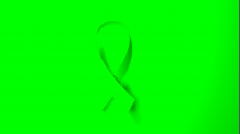 jaipicom_solidarity-ribbon.png SwapBRGGreen